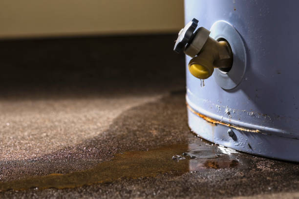 Best 24/7 water damage repair  in Upper Montclair, NJ