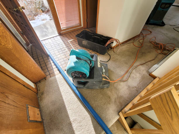 Best Flood restoration services  in Upper Montclair, NJ