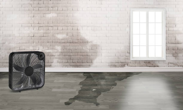 Best Water damage restoration near me  in Upper Montclair, NJ