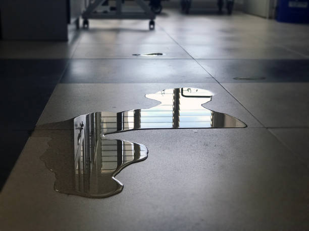 Best Local water damage restoration  in Upper Montclair, NJ